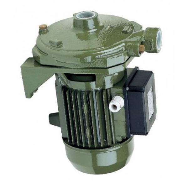Motore sommerso 2 hp per pompa elettropompa sommersa 4" LOWARA 4OS15T Trifase